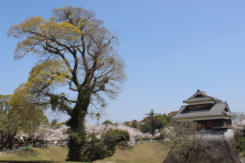 chateau de kumamoto 2019