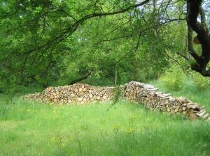 arton145.jpg